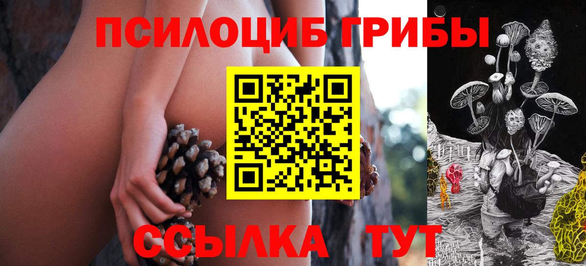 Псилоцибиновые грибы MAGIC MUSHROOMS Ивантеевка